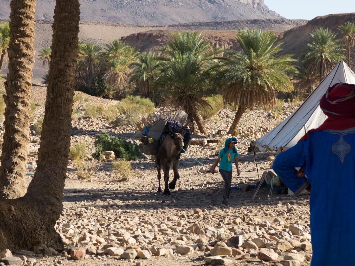 ホテル Bivouac Les Nomades & Foum Zguid To Chegaga Tours エクステリア 写真