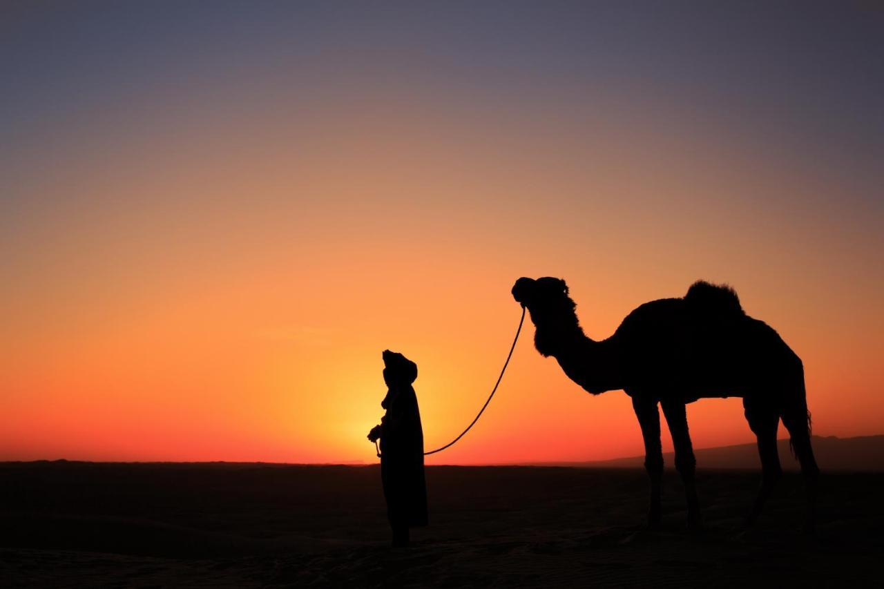 ホテル Bivouac Les Nomades & Foum Zguid To Chegaga Tours エクステリア 写真