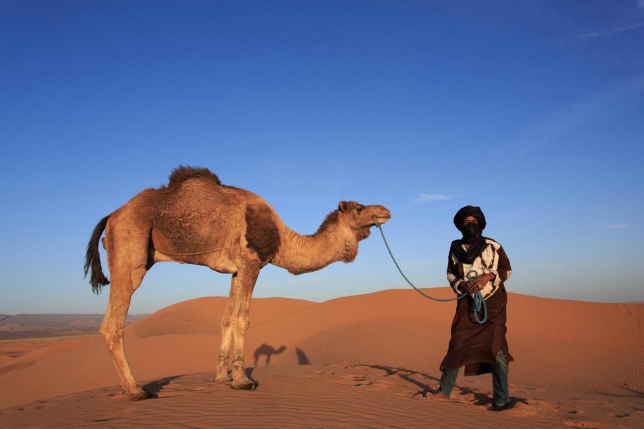 ホテル Bivouac Les Nomades & Foum Zguid To Chegaga Tours エクステリア 写真
