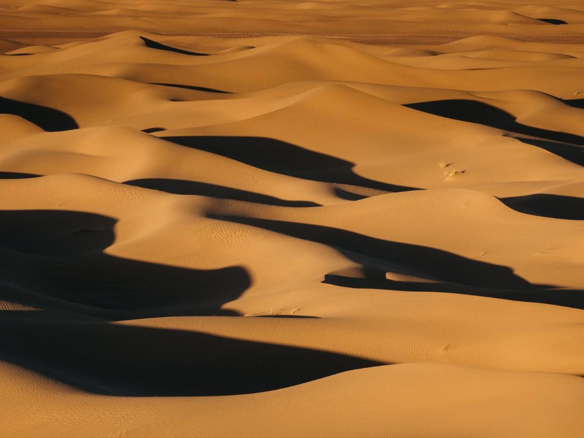 ホテル Bivouac Les Nomades & Foum Zguid To Chegaga Tours エクステリア 写真