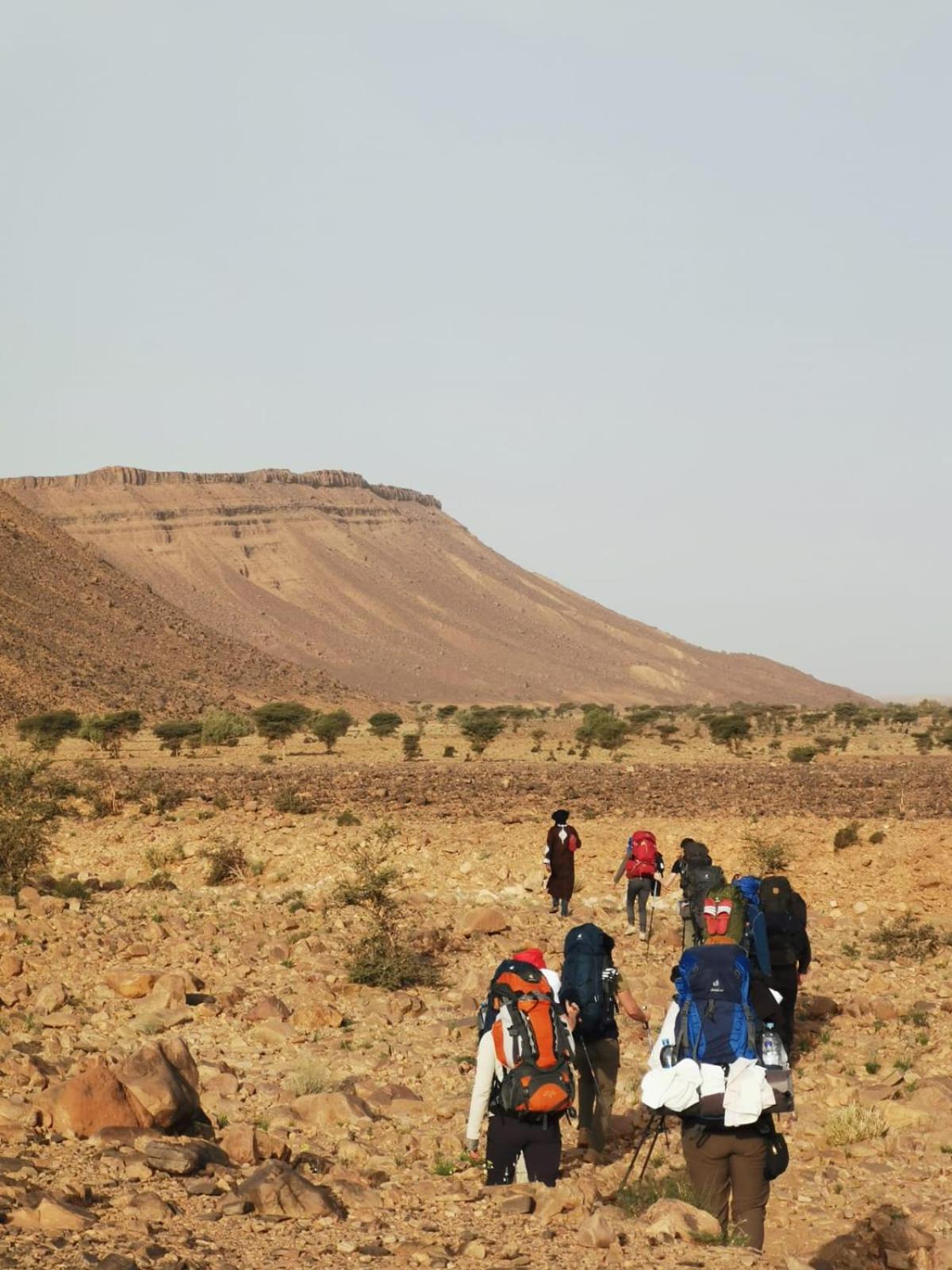 ホテル Bivouac Les Nomades & Foum Zguid To Chegaga Tours エクステリア 写真