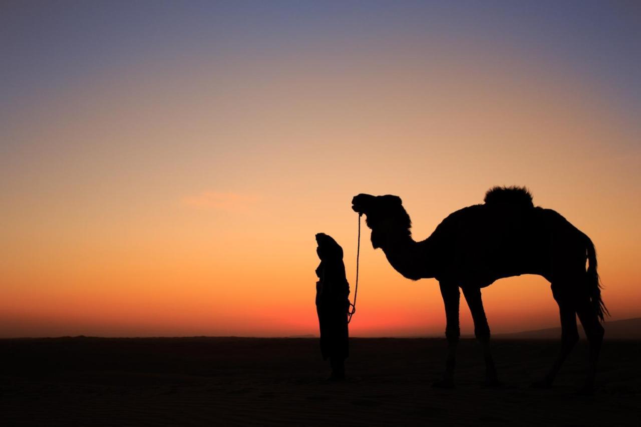 ホテル Bivouac Les Nomades & Foum Zguid To Chegaga Tours エクステリア 写真