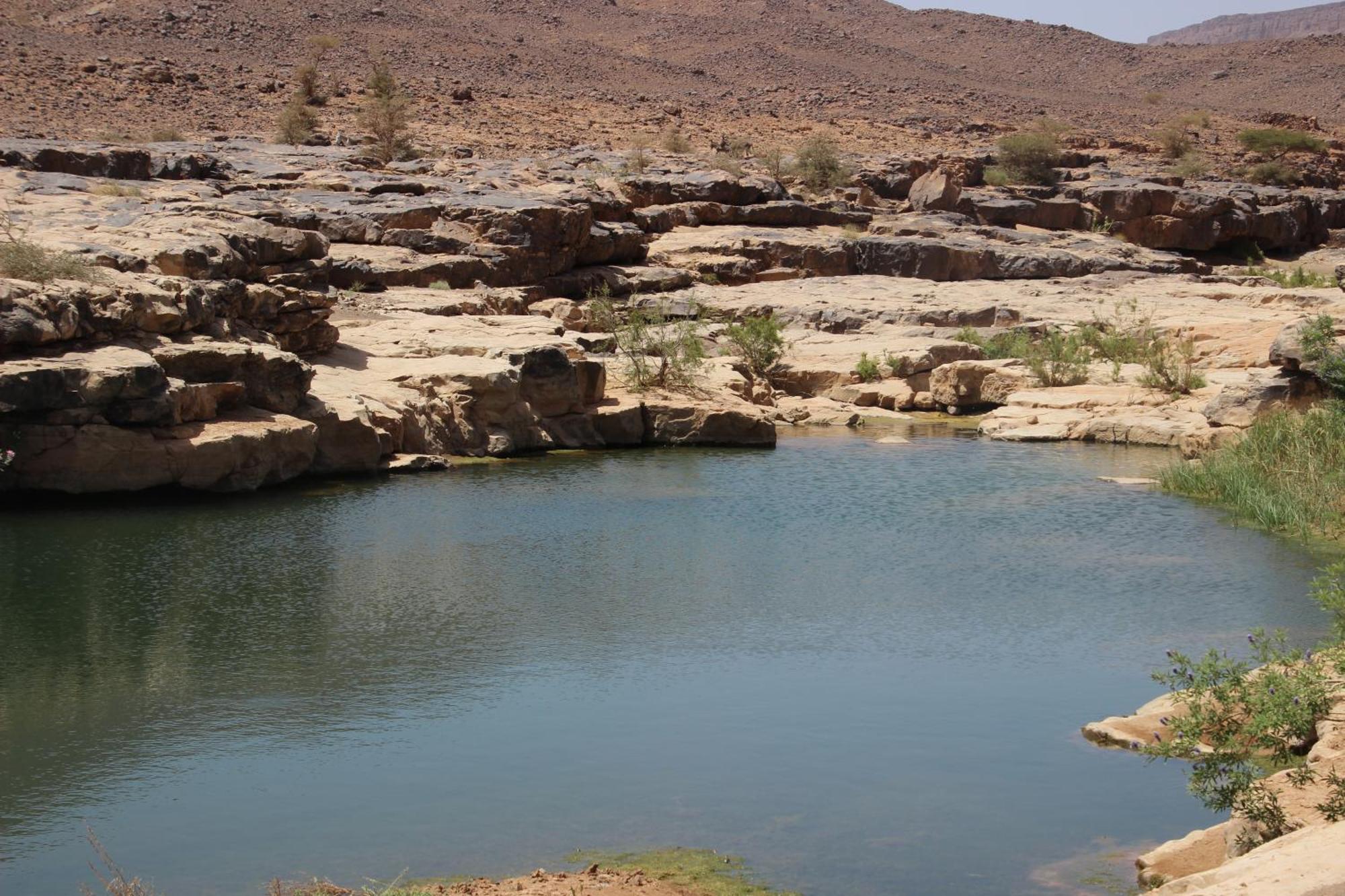 ホテル Bivouac Les Nomades & Foum Zguid To Chegaga Tours エクステリア 写真