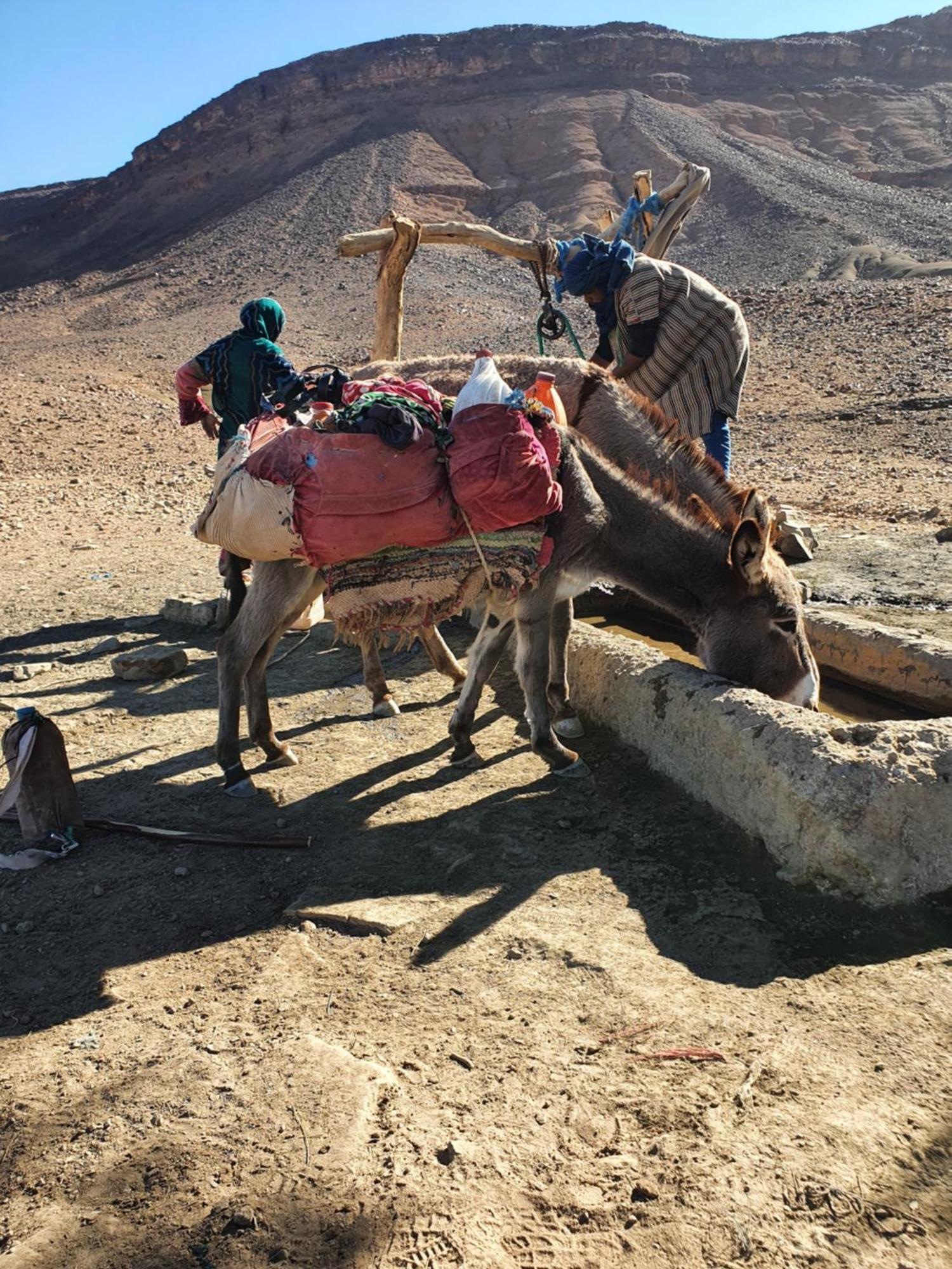 ホテル Bivouac Les Nomades & Foum Zguid To Chegaga Tours エクステリア 写真