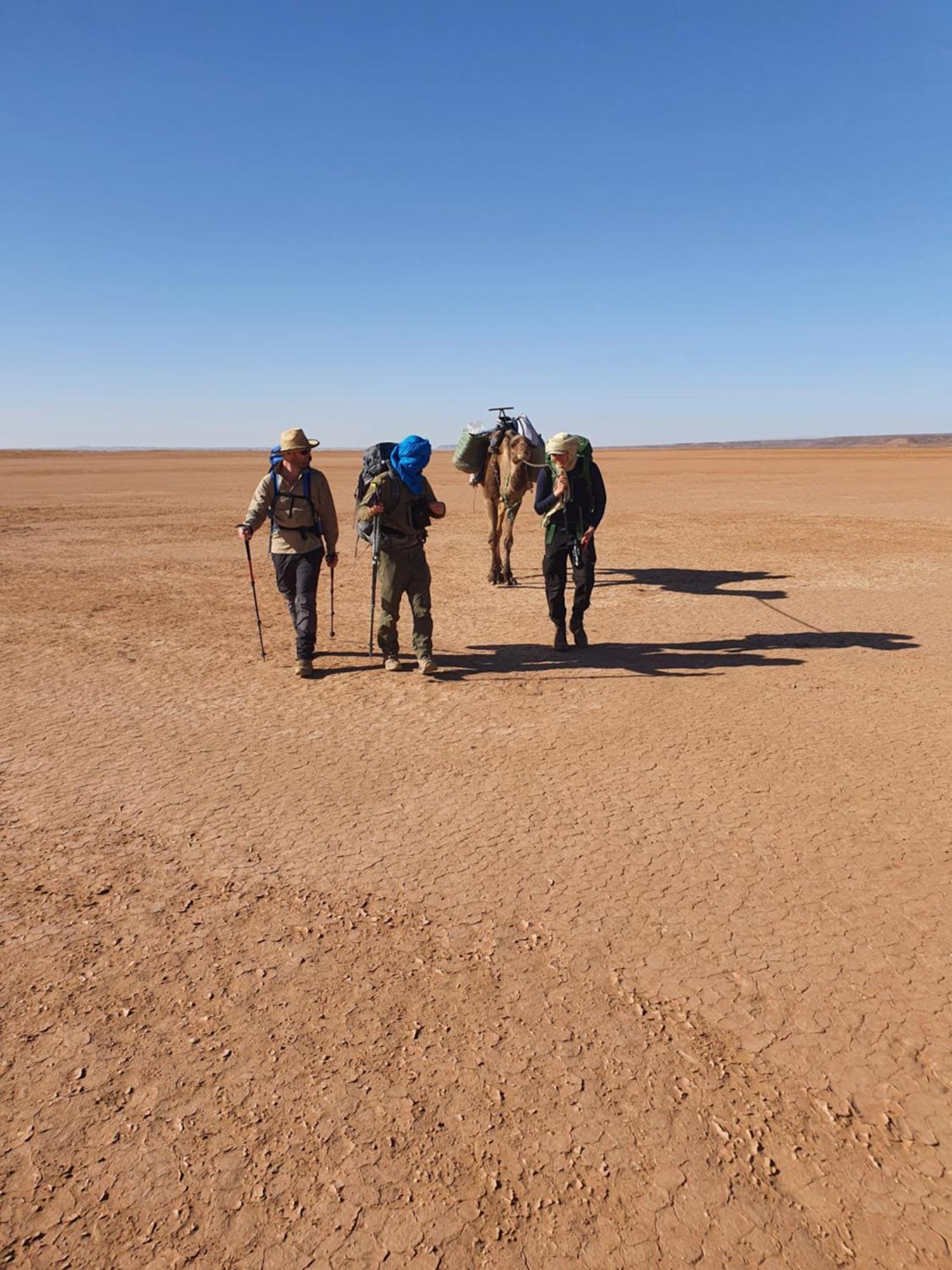 ホテル Bivouac Les Nomades & Foum Zguid To Chegaga Tours エクステリア 写真