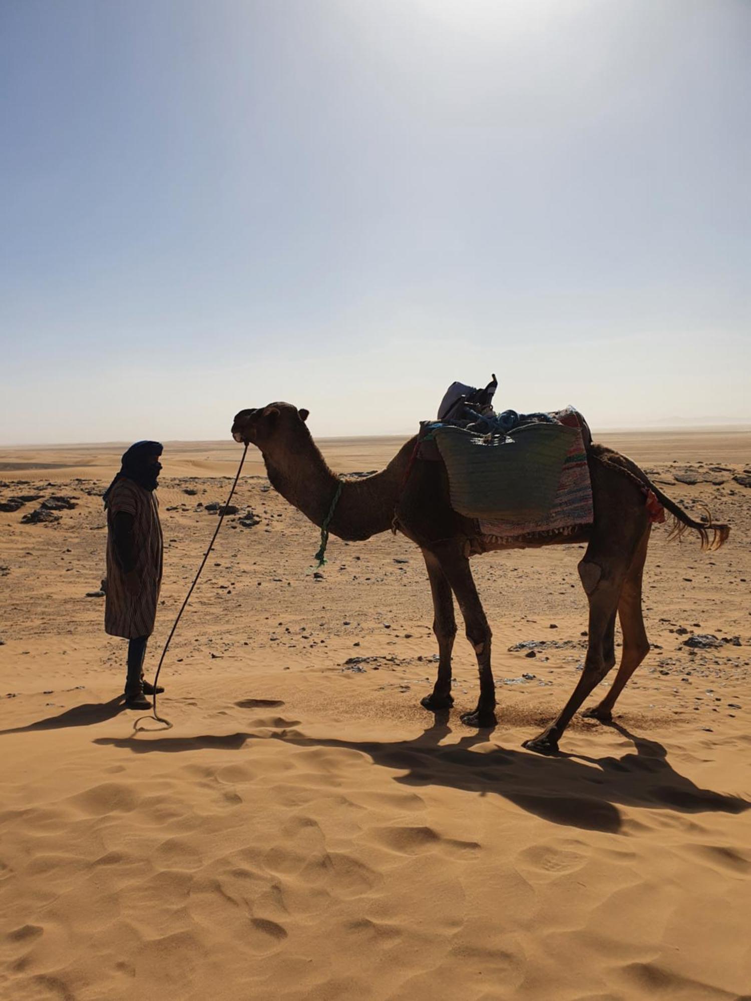ホテル Bivouac Les Nomades & Foum Zguid To Chegaga Tours エクステリア 写真