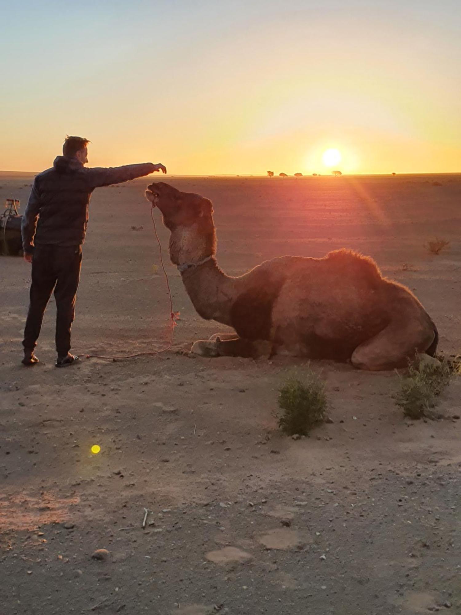 ホテル Bivouac Les Nomades & Foum Zguid To Chegaga Tours エクステリア 写真