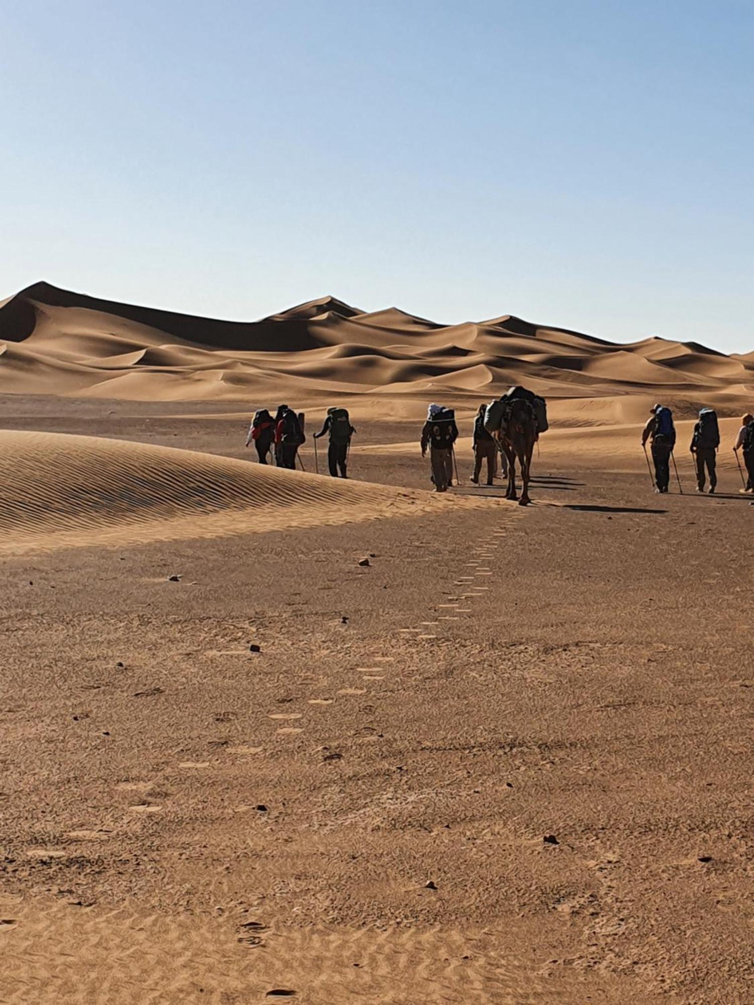 ホテル Bivouac Les Nomades & Foum Zguid To Chegaga Tours エクステリア 写真