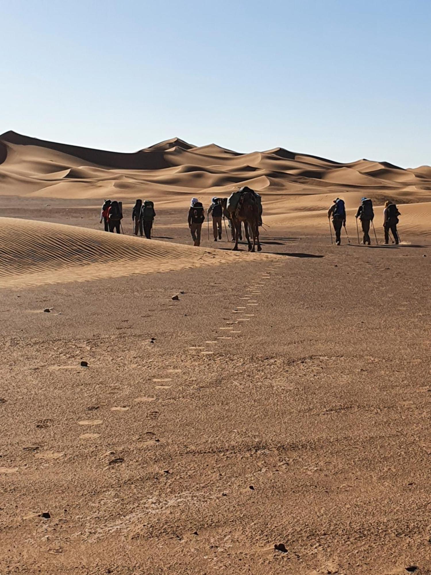 ホテル Bivouac Les Nomades & Foum Zguid To Chegaga Tours エクステリア 写真