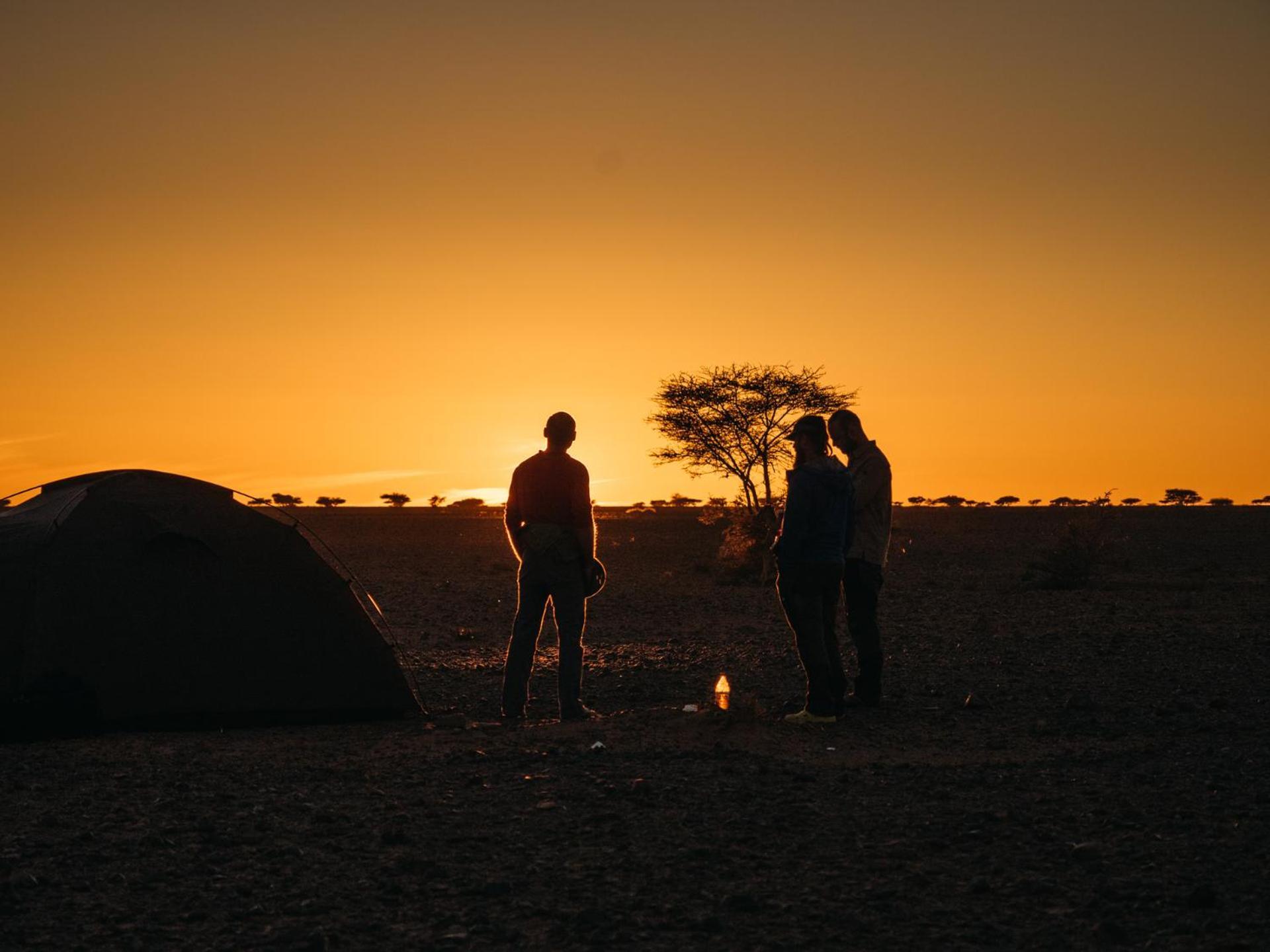 ホテル Bivouac Les Nomades & Foum Zguid To Chegaga Tours エクステリア 写真